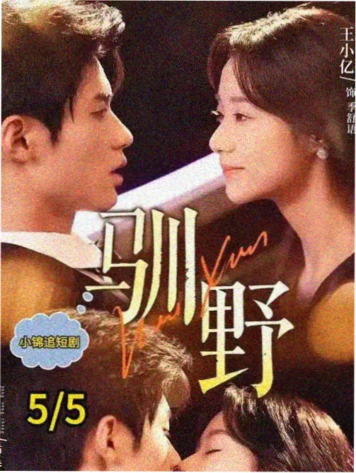 盐镇往事 剧集海报